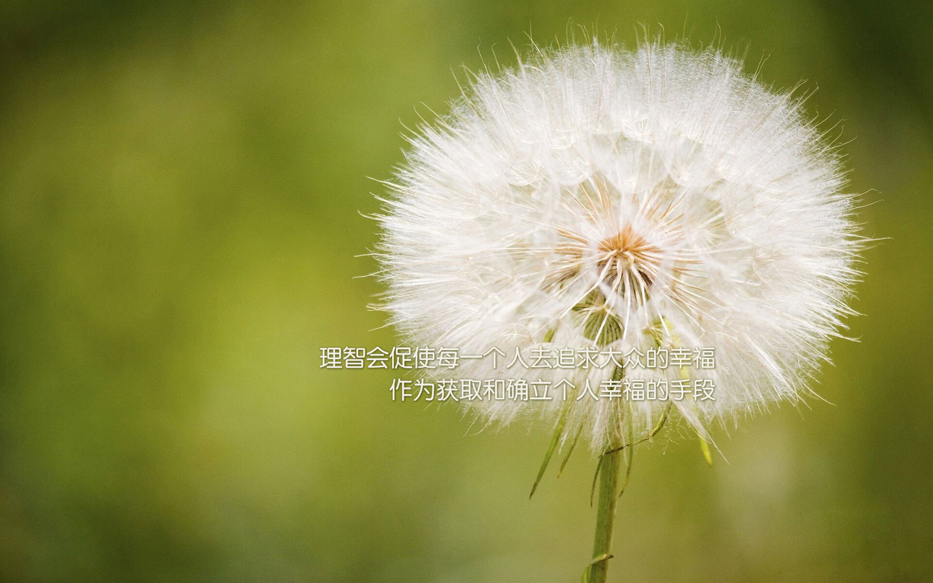 华体会网址-神级错位，当哈兰德降临虚拟战场—新西兰与韩国之战的科技狂想曲