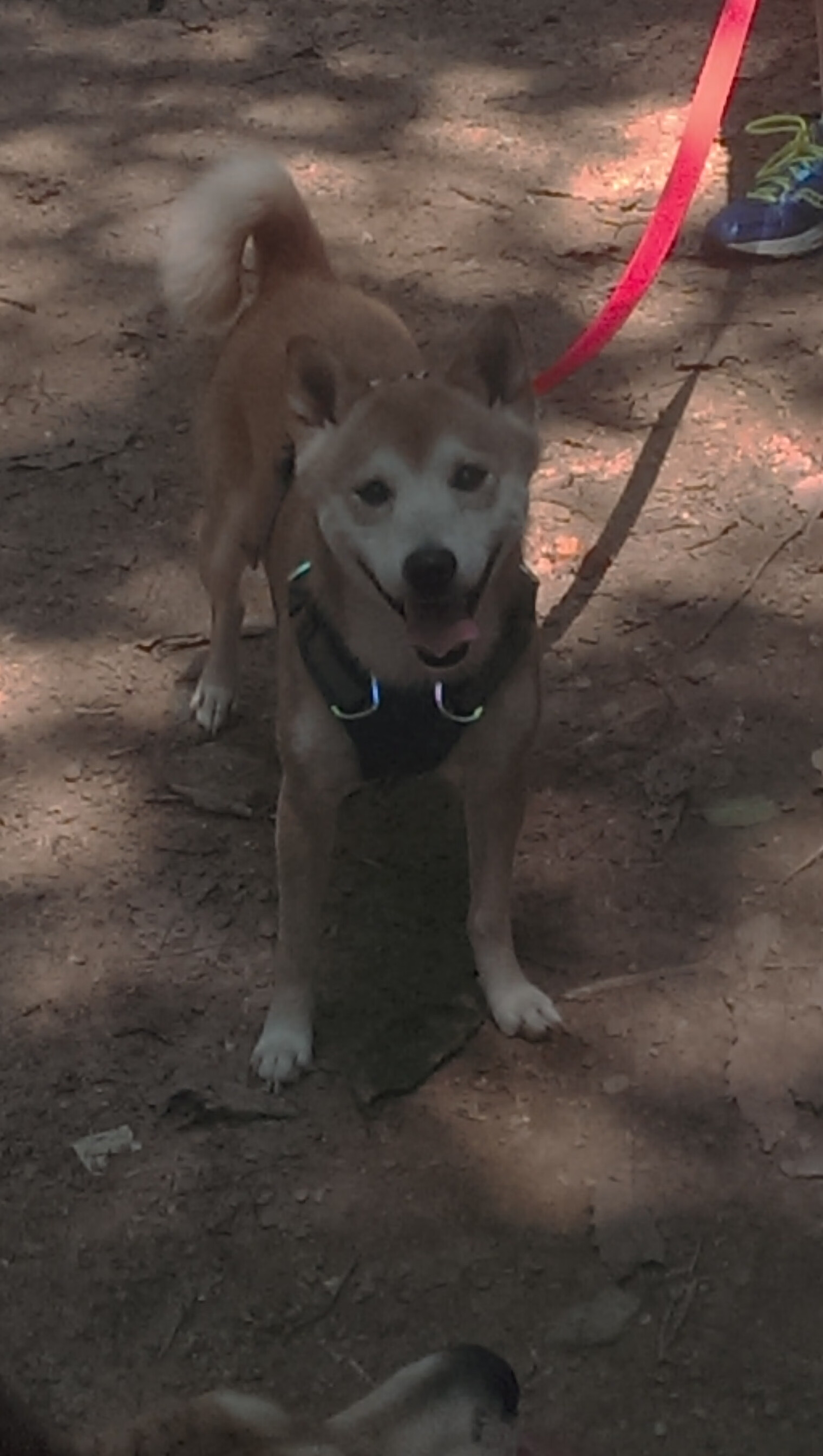 未曾踢出的点球，当制霸沦为幻影，坎特们如何定义真正的征服