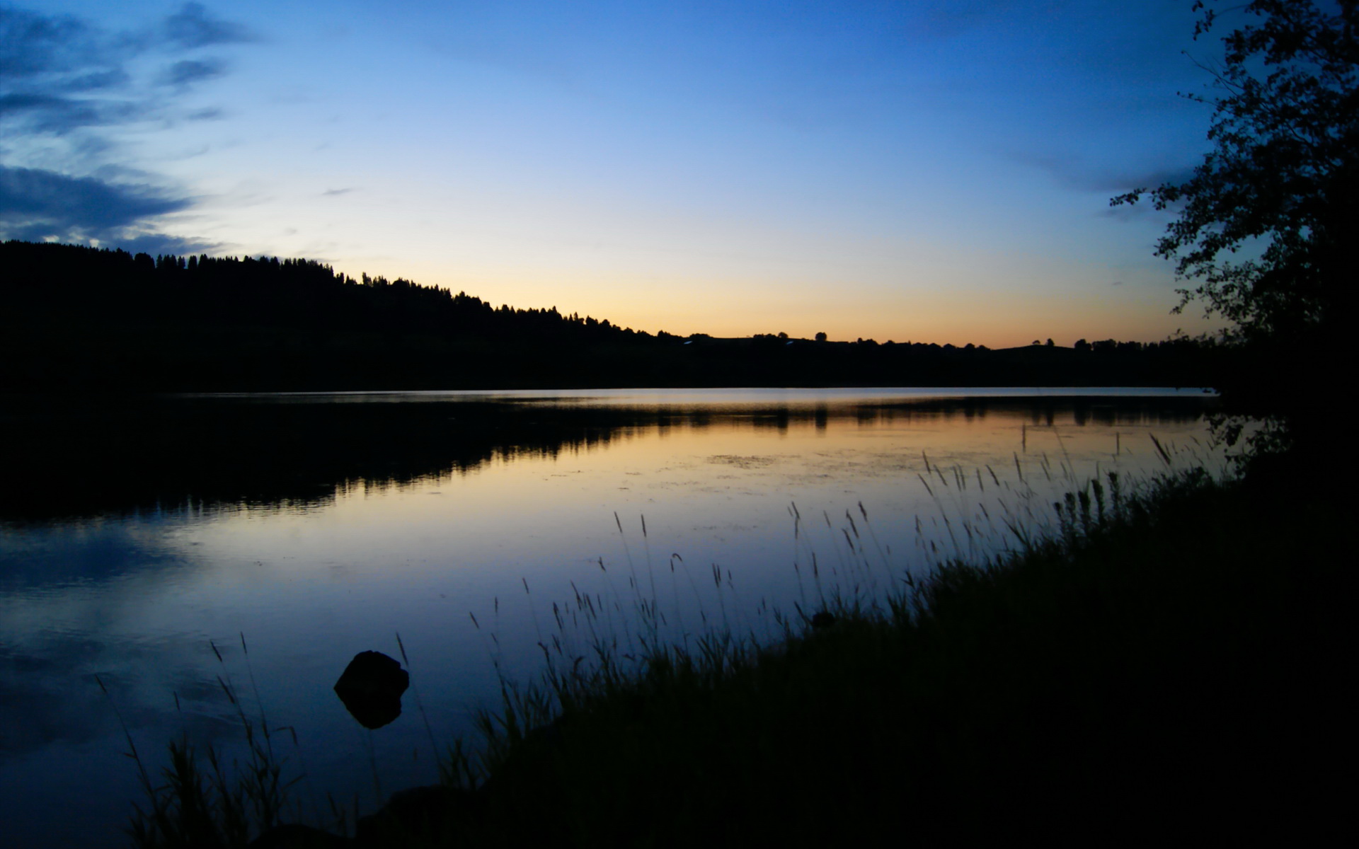 绿茵引擎轰鸣，一场用F1速度书写的厄瓜多尔焦点战